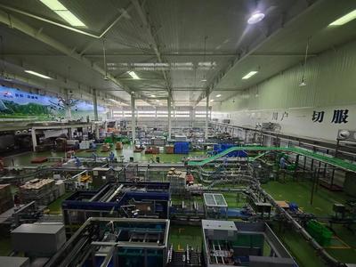 華山腳下，品質牛奶的綠色傳奇 從生態牧場到‘華山之巔’的匠心之旅